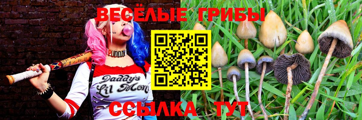 Галлюциногенные грибы Cubensis Москва